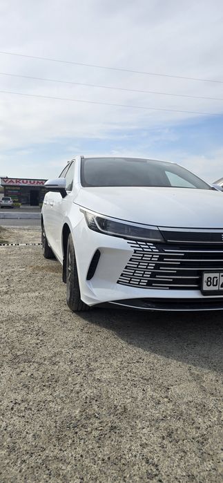 Byd chazor gibrid