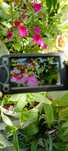 Vând camera video panasonic