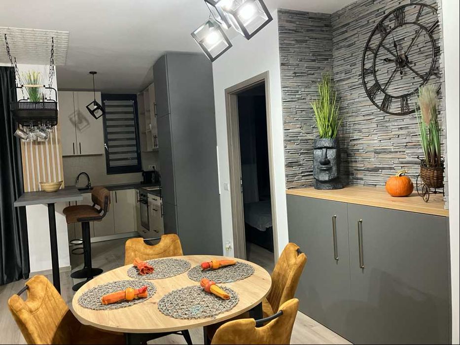 apartamente de inchiriat timisoara
