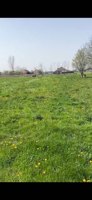 Vând teren intravilan în Paulian