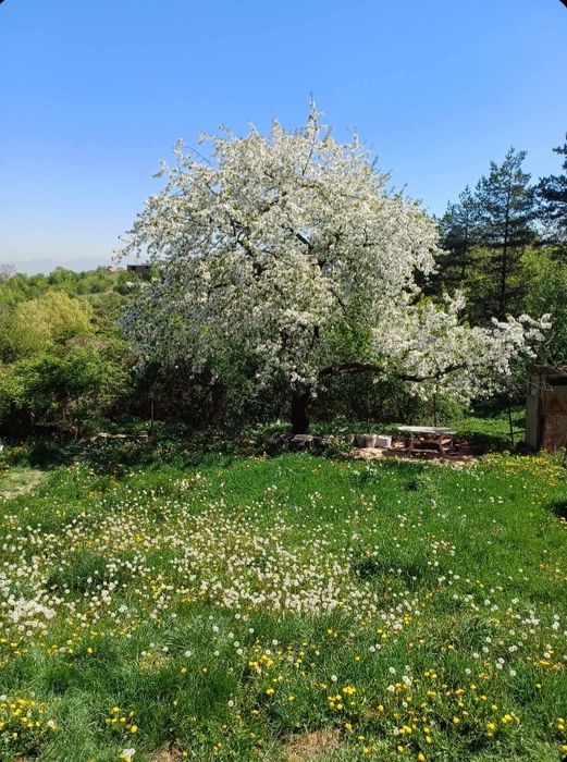 Продава се Парцел в София, Люлин 5 - 587 кв.м за 237 €/кв.м - Снимка #3