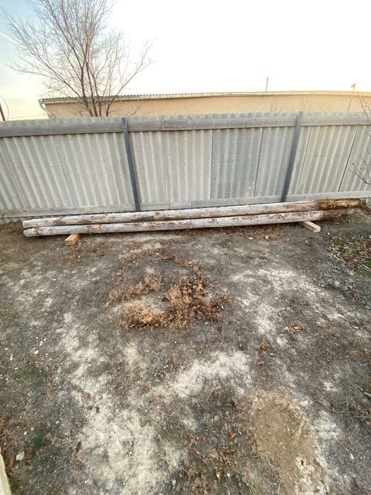 Кругляк 6- метровый