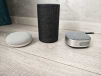 Boxe inteligente Alexa si Google