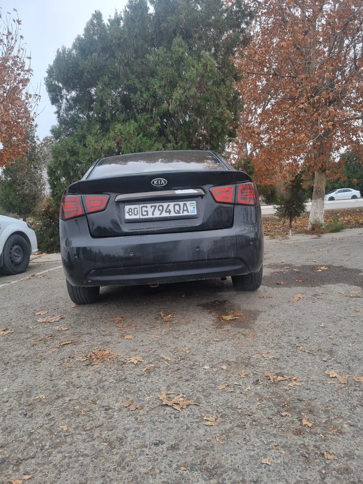 Avtomobil kia forte