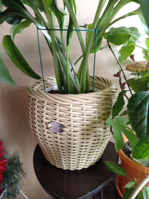 Кашпо из ротанга