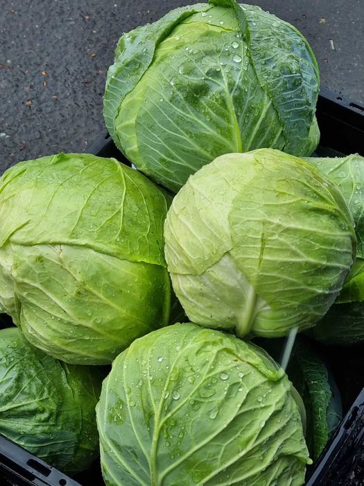 VARZĂ la cel mai mic preți