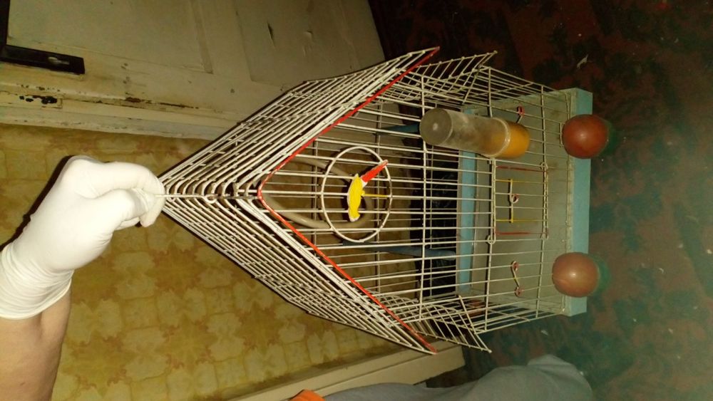 Клетка за Папагали,канарчета-всички принадлежности,дръжка за пренасяне