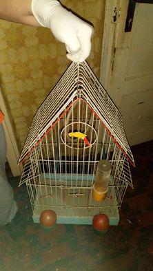 Клетка за Папагали,канарчета-всички принадлежности,дръжка за пренасяне