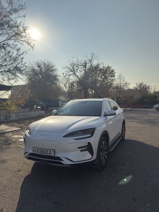 Byd Chempion 605 Full 2023