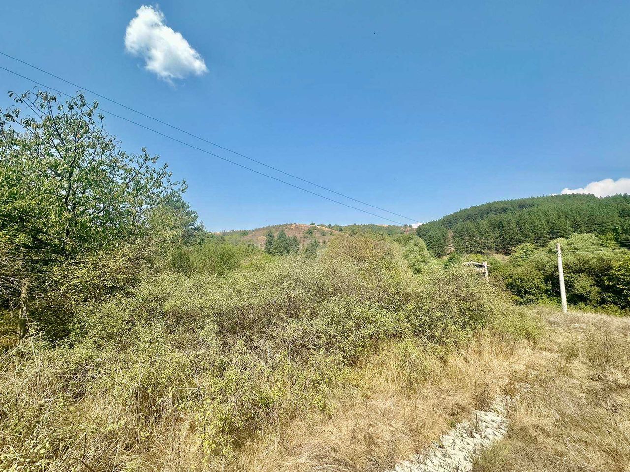 Продава се Парцел в с. Клисура, Област София-град - 537 кв.м за 28 €/кв.м - Снимка #14