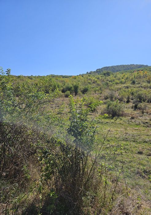 Vand TEREN - Crețeștii de Sus, jud. Huși, Vaslui