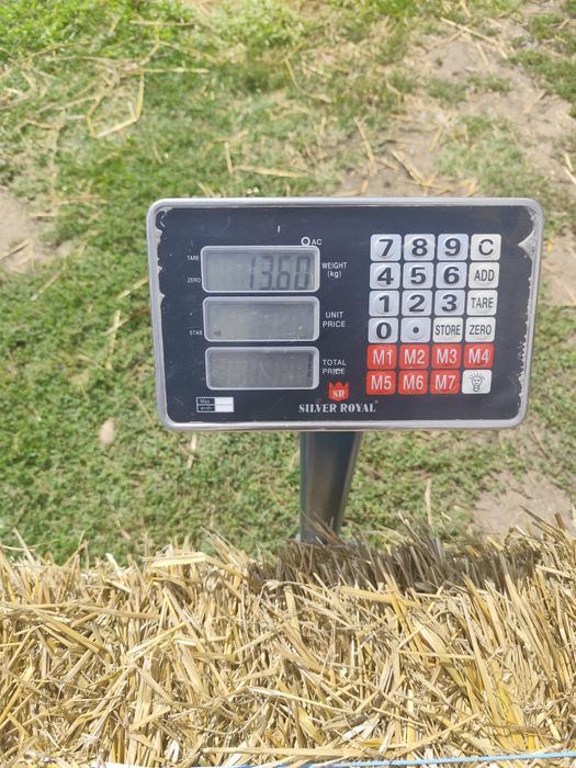 Baloti de paie de triticale