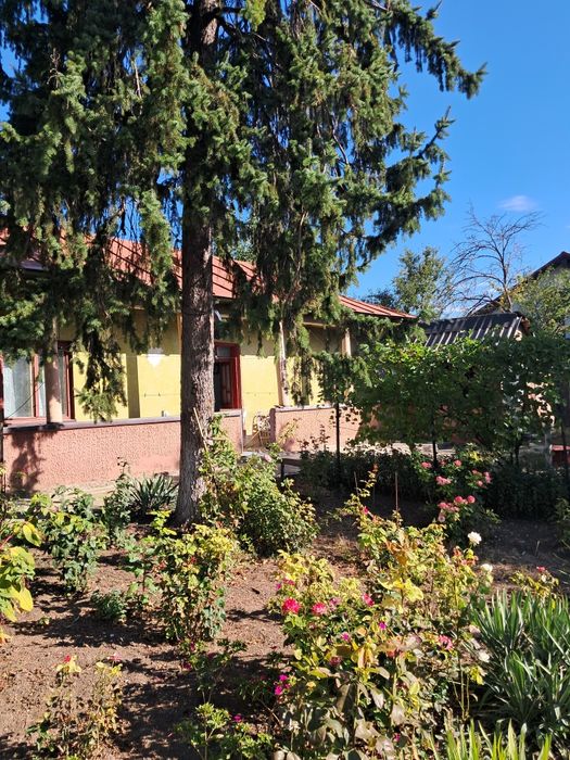 Casa de vanzare .