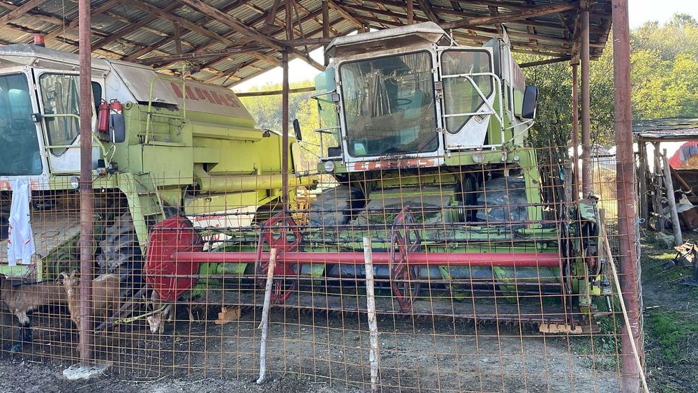 Vând la pachet sau separat