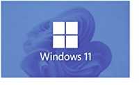 Vand stick bootabil Microsoft Windows 11 cu licenta.
