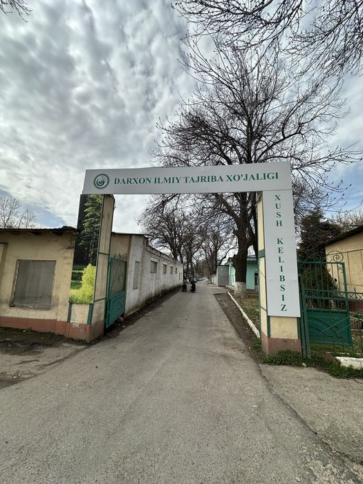 arenda 1 xonali uy 1 honali uy kivartira 300