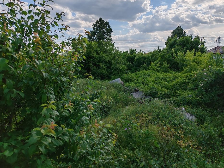 Servicii de curățare și defrișare teren de vegetație spontană... Etc.