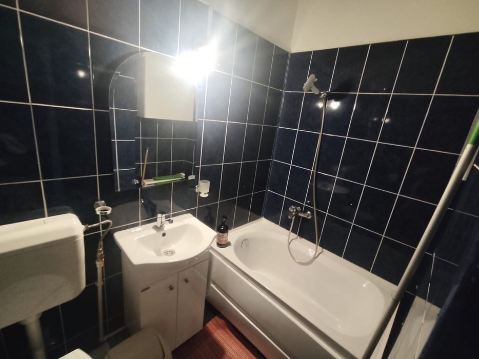 Apartament 1 camera in  Ic Frimu, proprietar