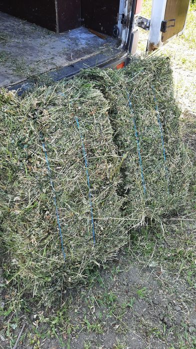 ‼️ Vand baloti de lucerna 2025, 40 lei balotul ‼️