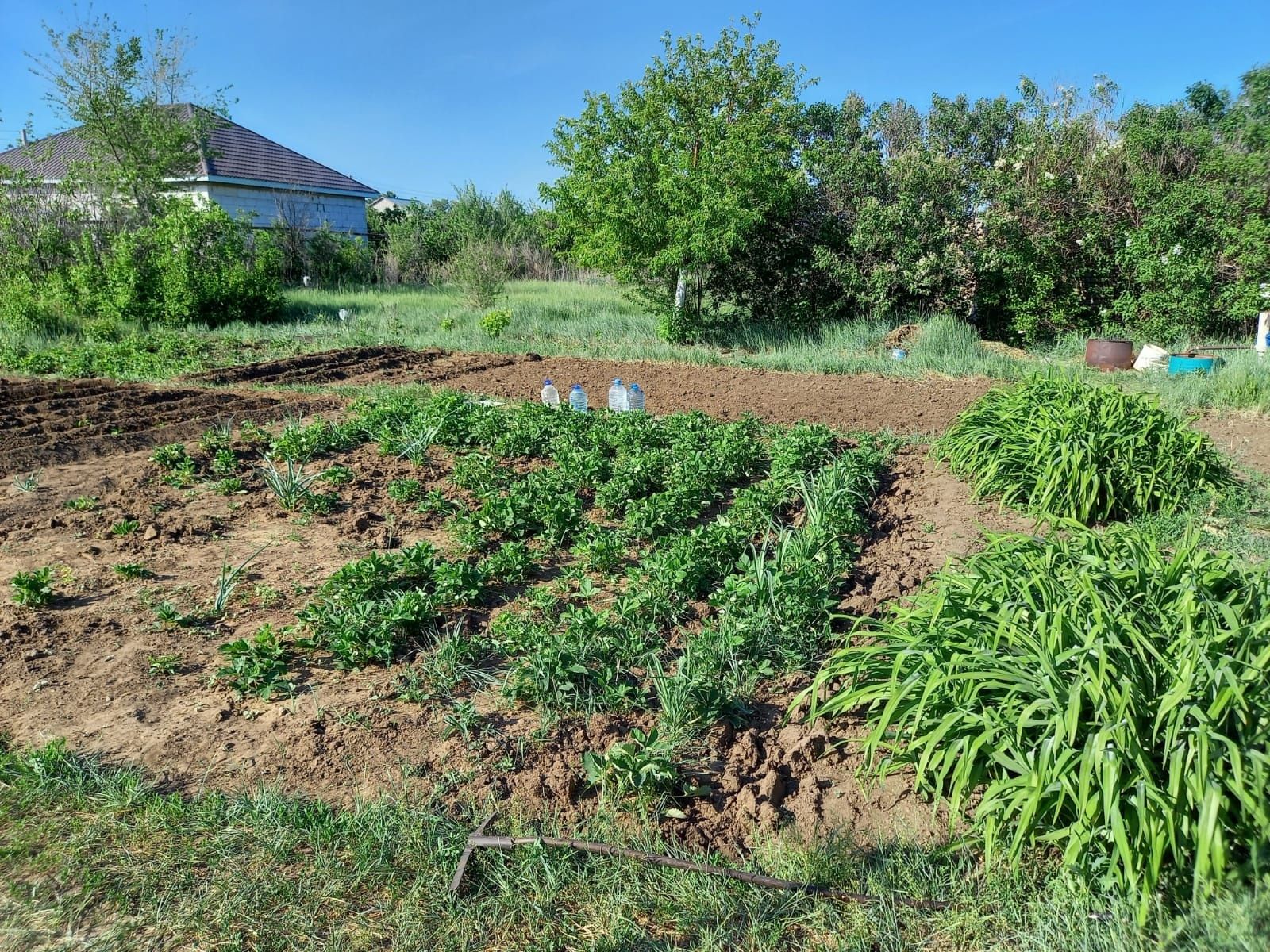 Продам дачу  в с/к Кумжол