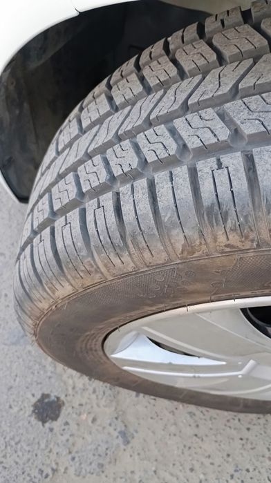 15 diska balon, obmen variantal bosa tashela,