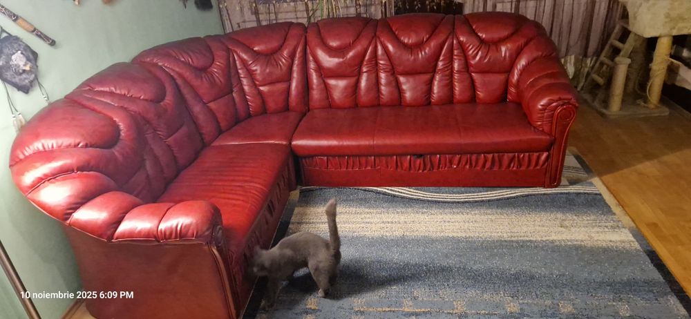 Coltar piele ecologică