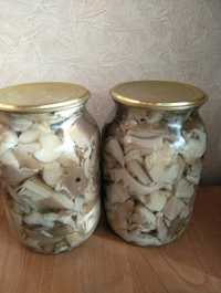 Продам грибы вешанки
