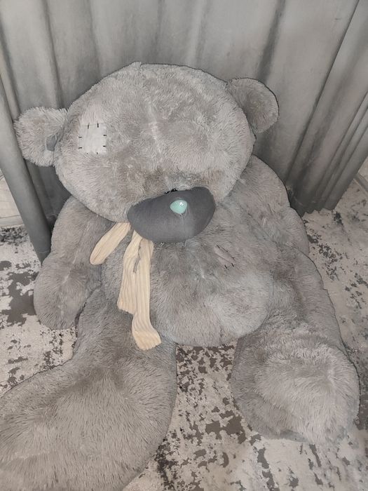 Tediy ayiq, holati yaxshi