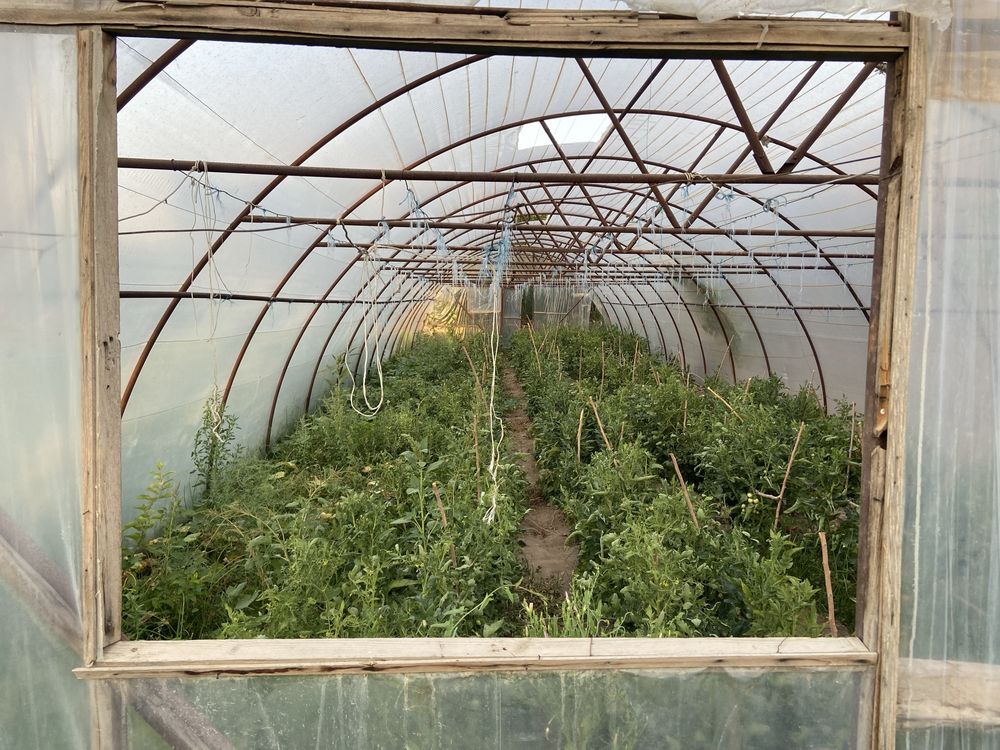 Парник гаранти 5