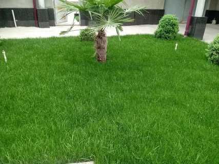 Палив, автопалив ўрнатиш Газон экиш  хизматлари