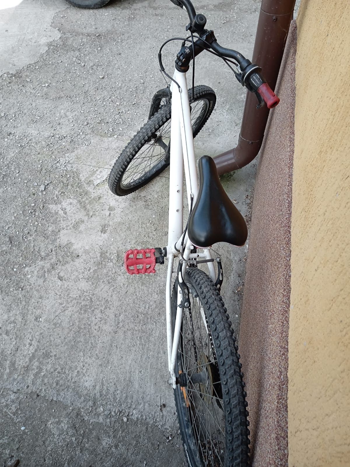 Bicicleta roți pe 24
