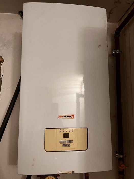 Vand 2 centrale electrice 24 de Kw Protherm Ray 24 K