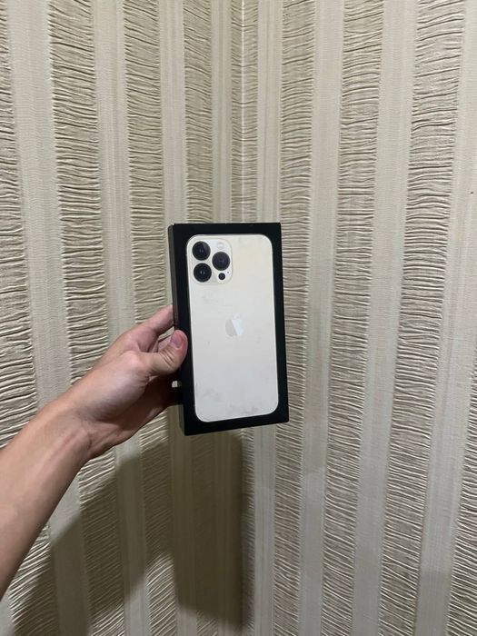 iPhone 13 Pro Max