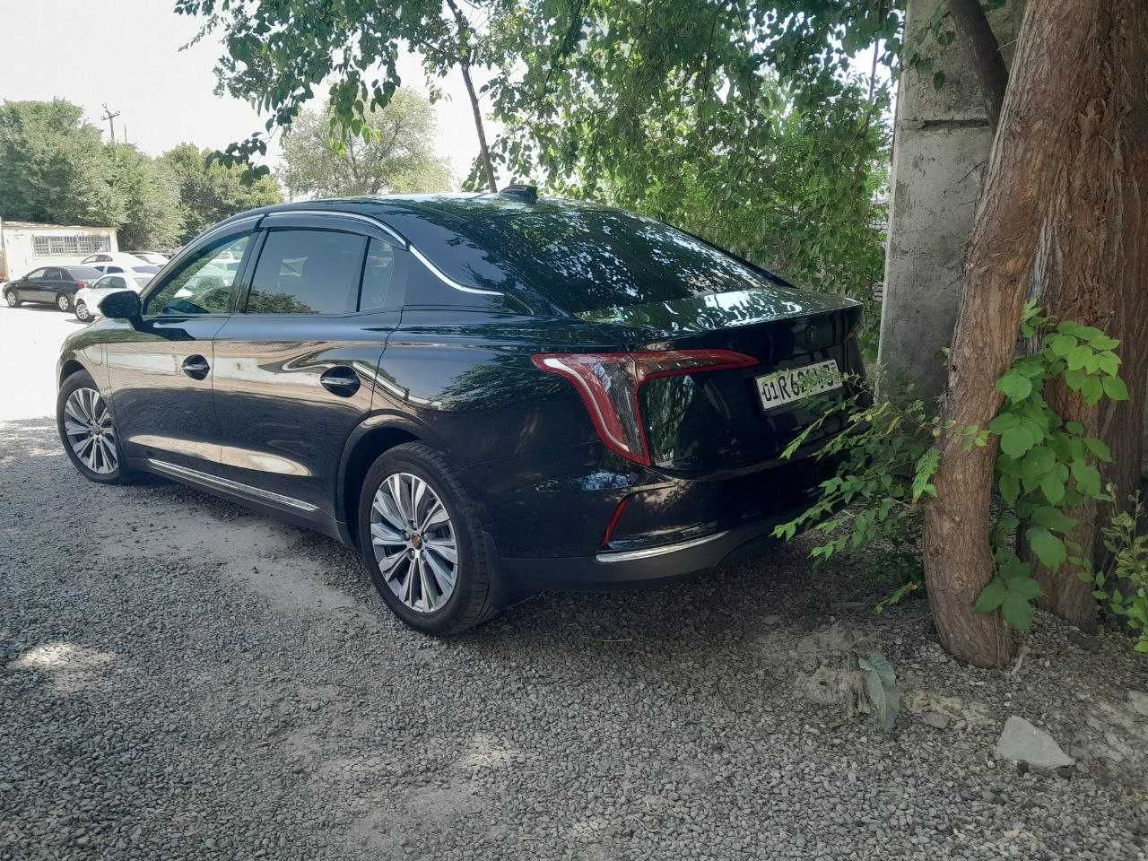 Водитель со своим авто Hongqi eqm5