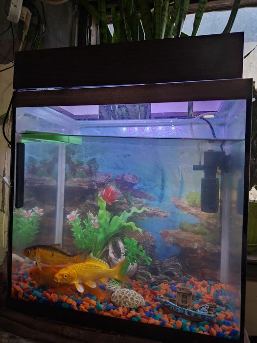 Продам аквариум!