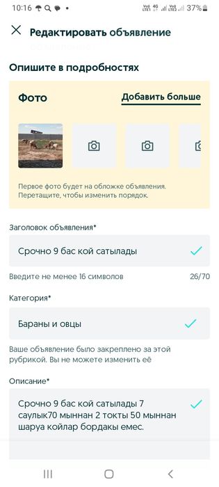 Срочно продам дойных коров