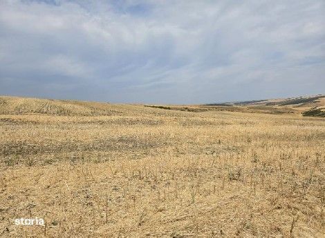 Teren Negureni, cota parte 1/8, ID: R2695094