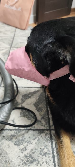 Новые намордники для большой собаки