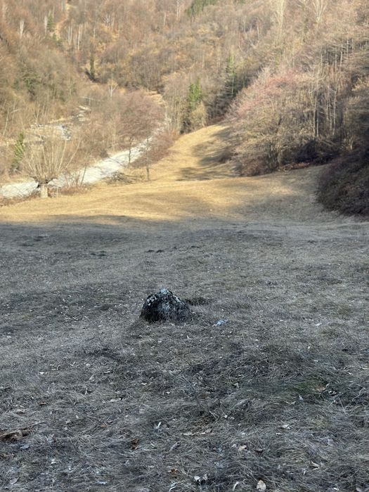 Vand Teren Extravilan Fanet Valea Streiului !