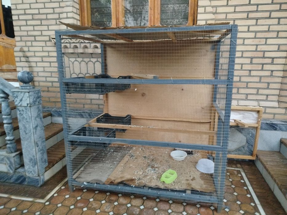 Каптар ини клетка для птиц