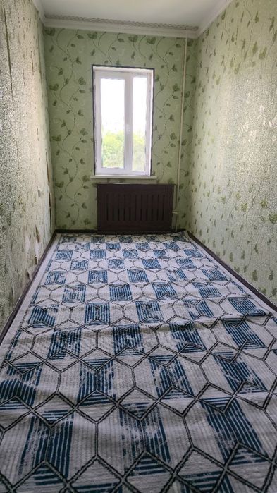 Квартира арендаэАлгаритм кизил шарк ойлага студентов