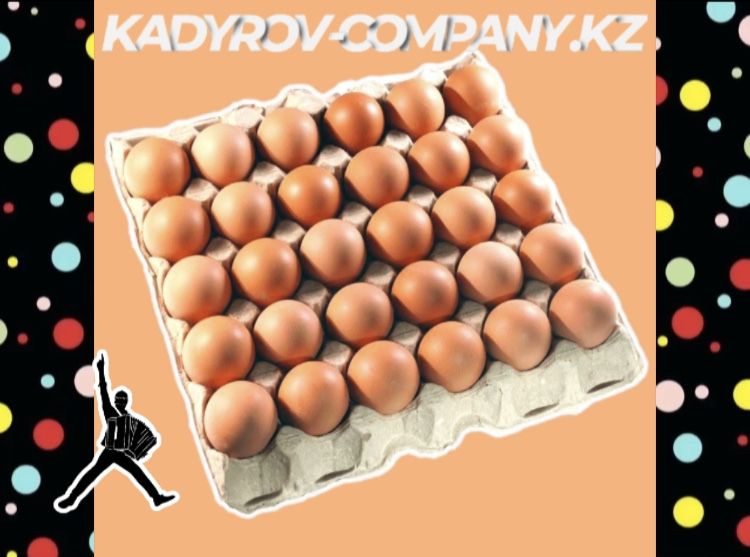 Инкубационные яйца бройлера ОПТОМ свежие ИЯ13
