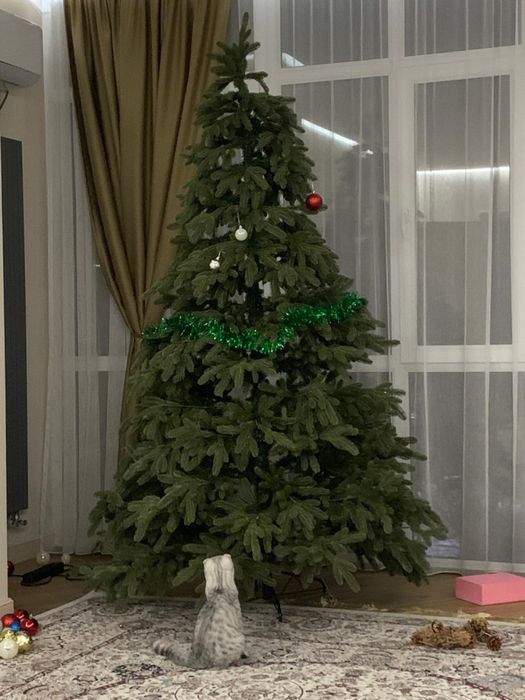 Продам Хорошую Елку