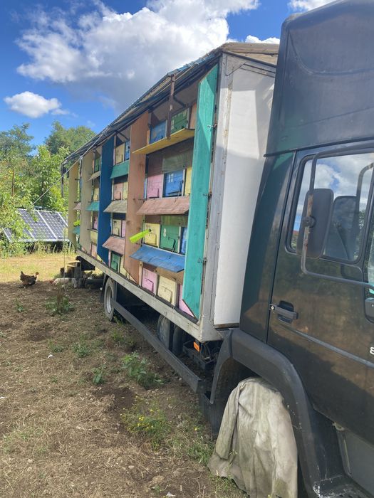 Stupina Apicola  camion MAN 7.5 tone