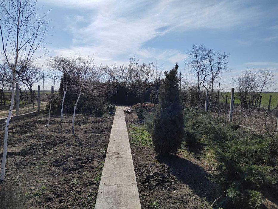 Vand teren in Mirila - 3 km de oras Bals