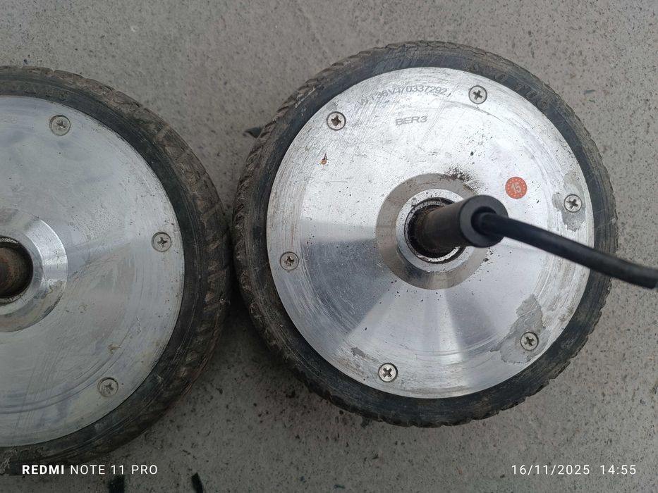 Sigvey bqloni 6,5 dyum