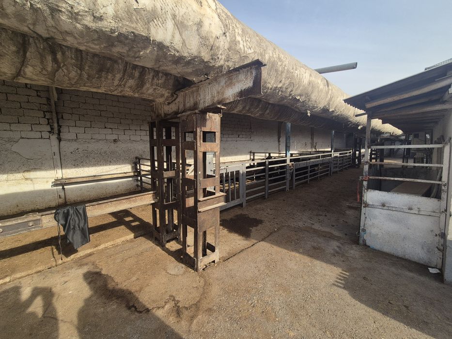 Qushxona arendaga beriladi. Or. Jomiy bozor, Olmozor tumani