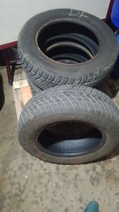 Pneuri de iarna 195/65/R15