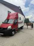 transport cai autorizat  3.5t