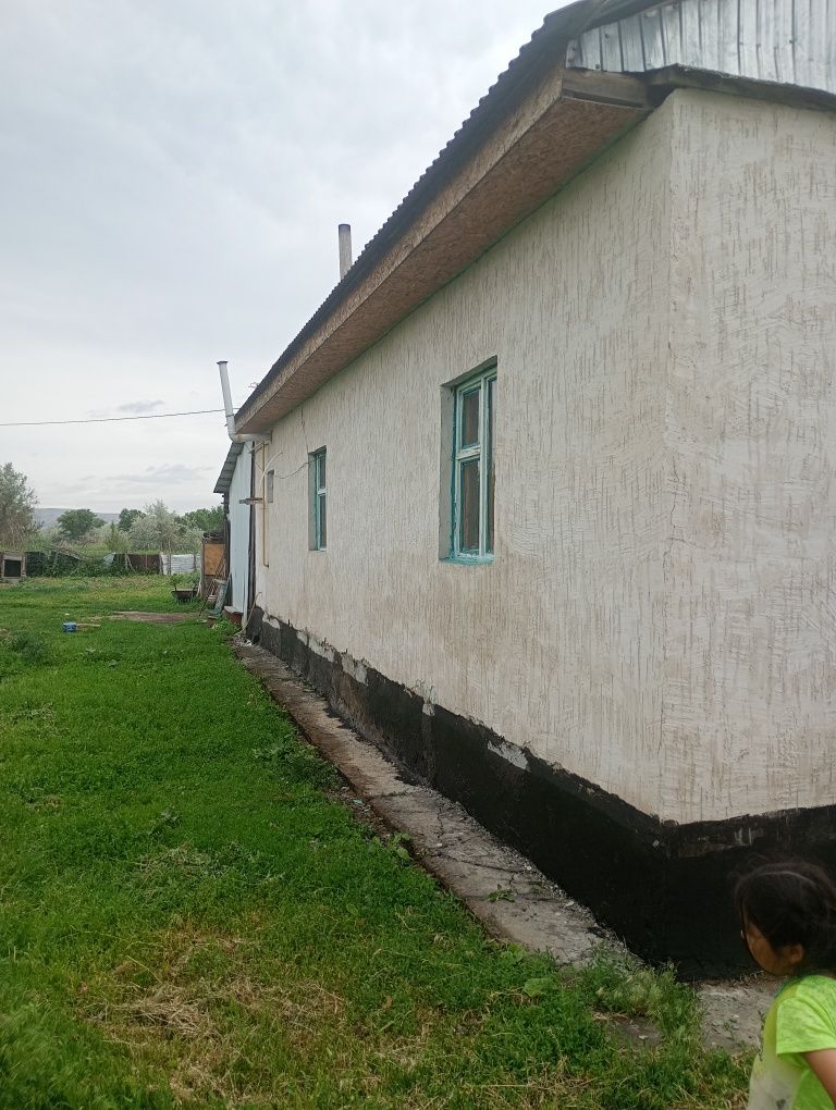 Уй сатылады ынтымак ауылы